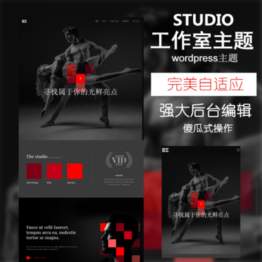 Studio-V1.1工作室,wordpress模板,特色產品,公司網站模板—多功能html模板,強大后臺傻瓜式wordpress主題